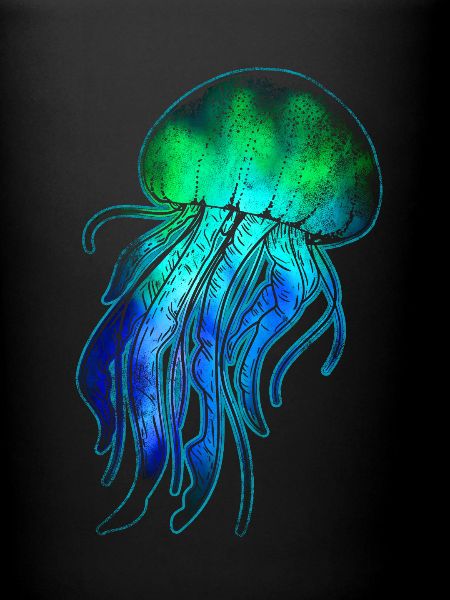 Jellyfish