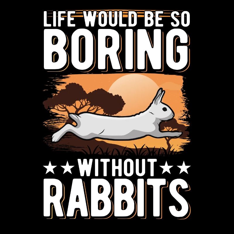 Rabbit Gift Rabbit Rabbit