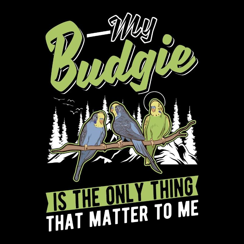 Perruche Budgerigar Welli