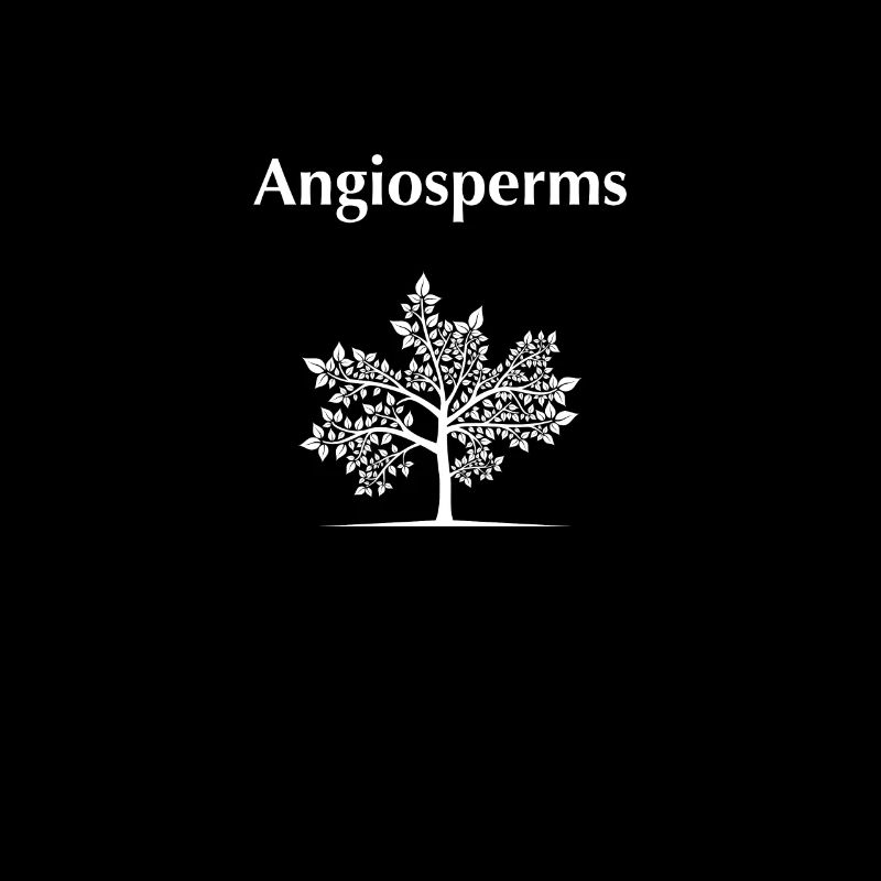 Angiosperms