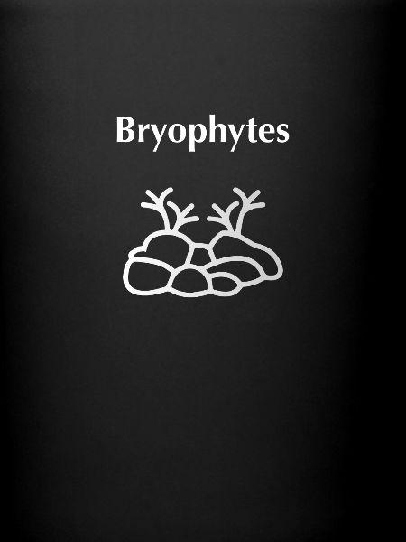 Bryophytes