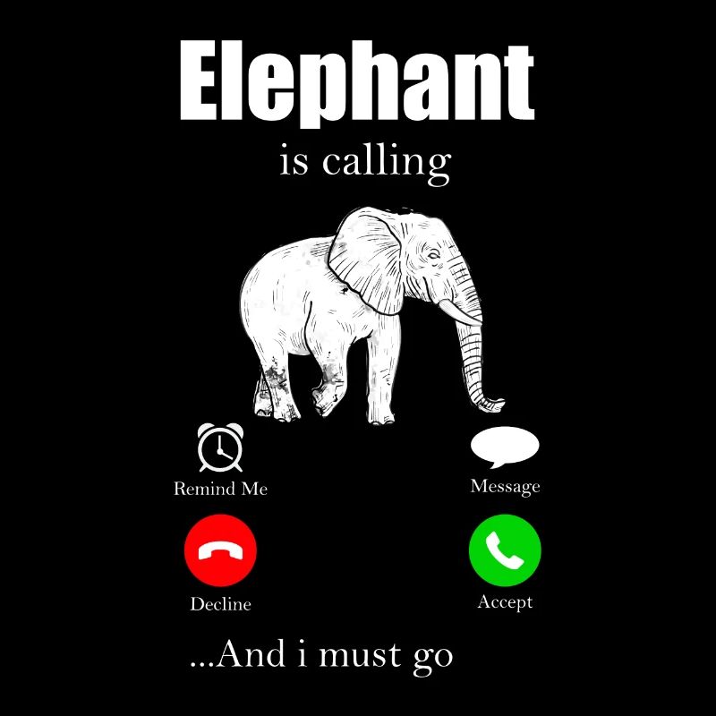 Elephant Elephant Elephant Proboscis Zoo Circus