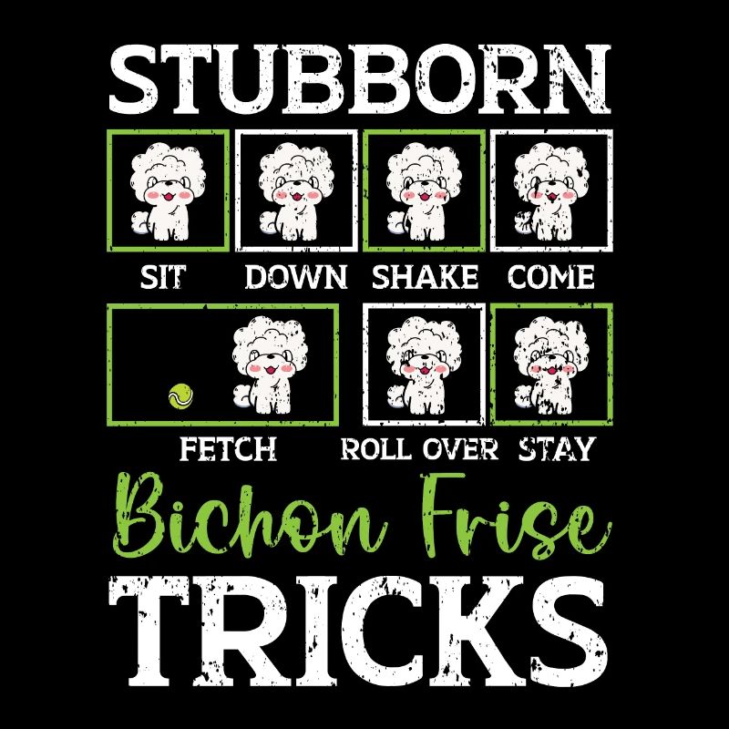 Têtu Bichon Frise Tricks Bichon Frise Propriétaire