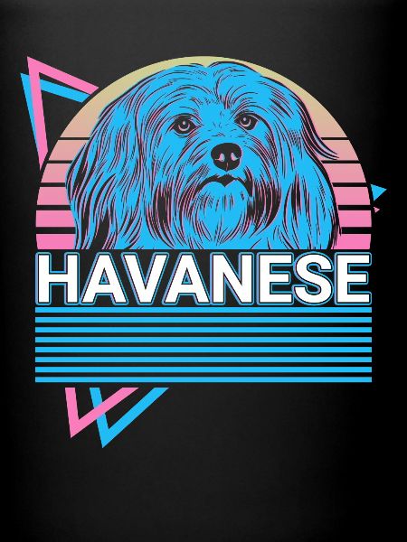 Rétro havanais