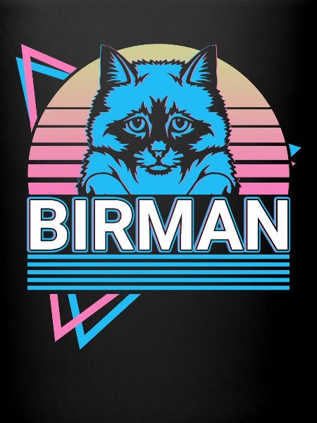 Chat birman Rétro