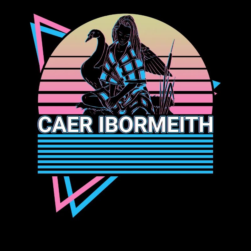 Caer Ibormeith Irish Goddess Antiquity