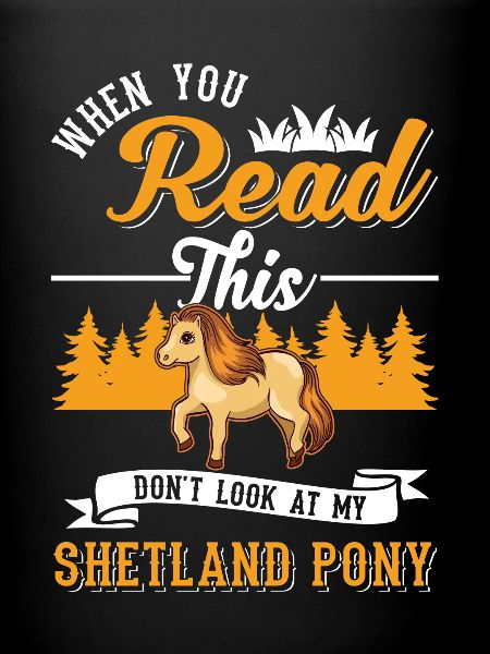 Shetland Pony Cadeau Shetty