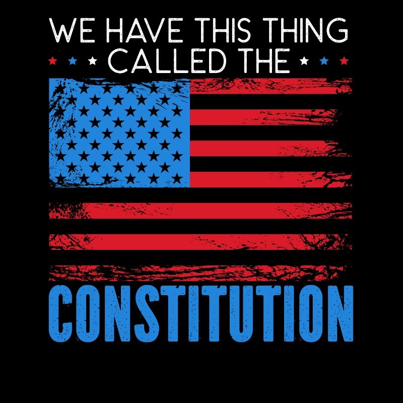 We Have This Thing Called The Constitution Day