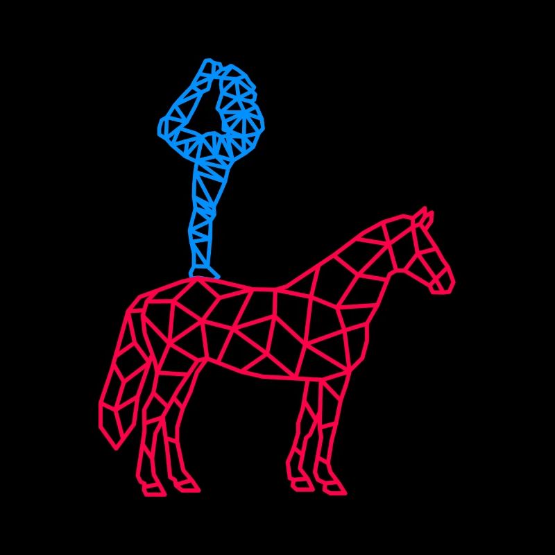 voltige cavalier sauteur