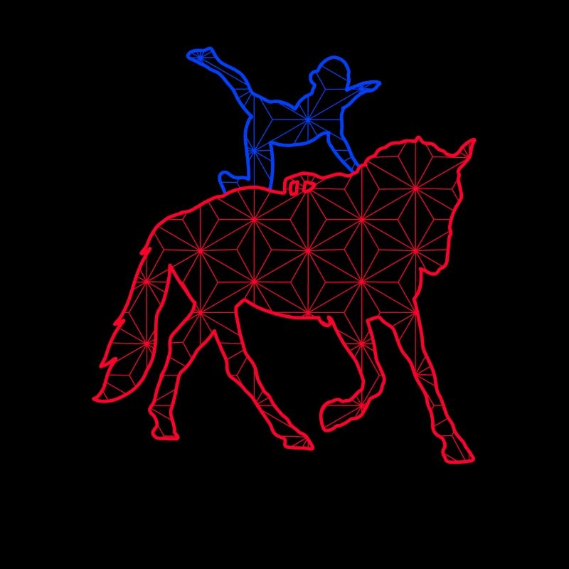 voltige cavalier sauteur