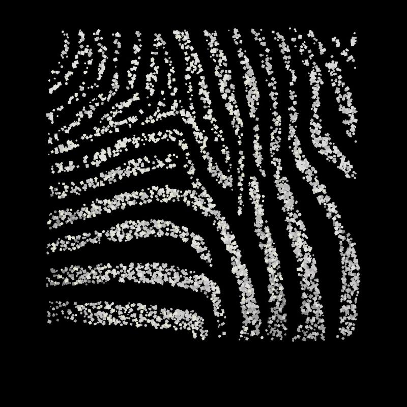 Zebra Zebra Crossing Pattern Costume Replacement Carnival