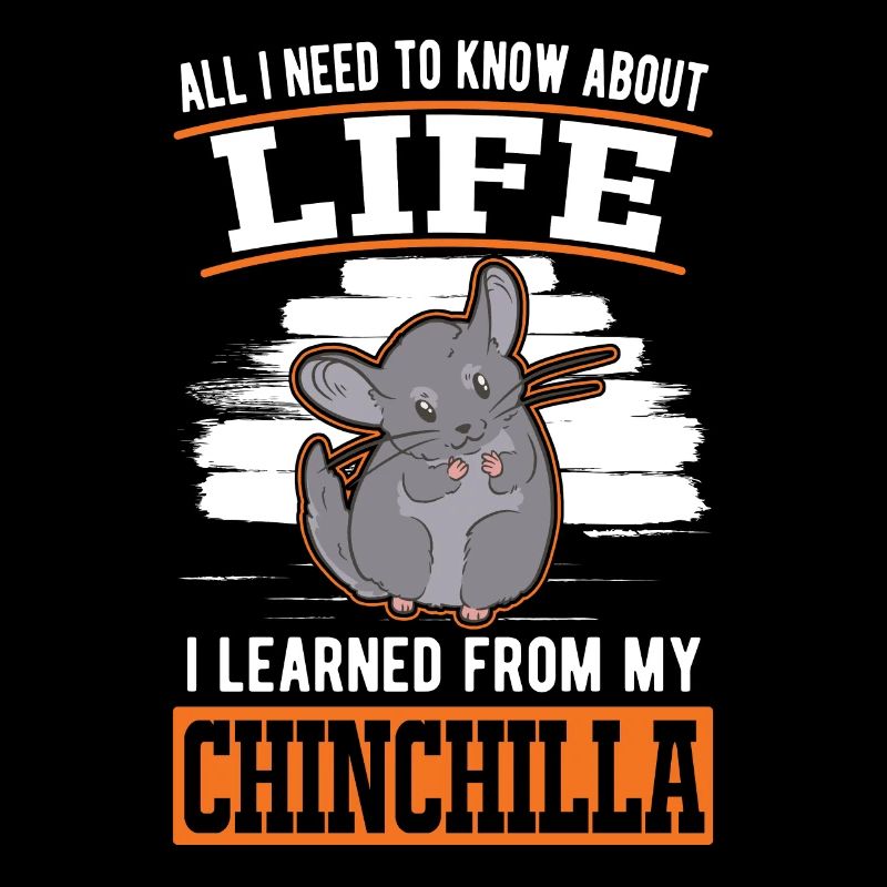 Dicton Chinchilla
