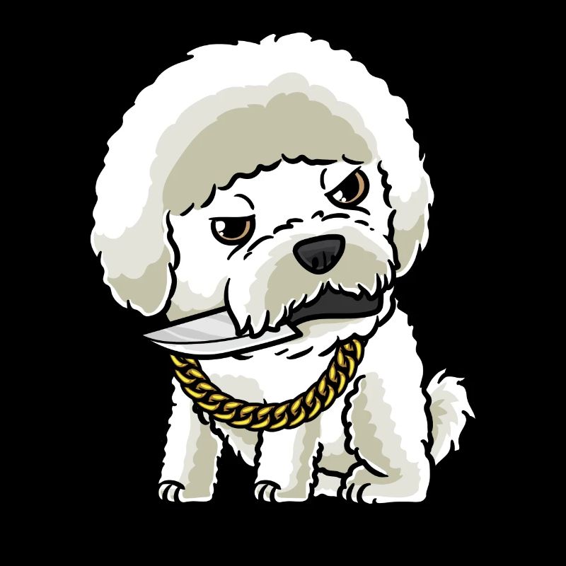 Bichon Frisé Chien Bouclé Bichon Avec Couteau