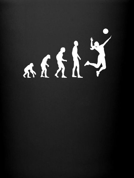 Volleyball Evolution