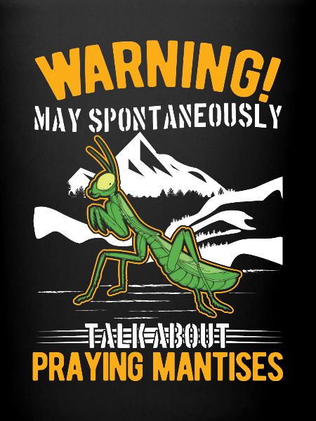 Gottesanbeterin Mantis Fangschrecke