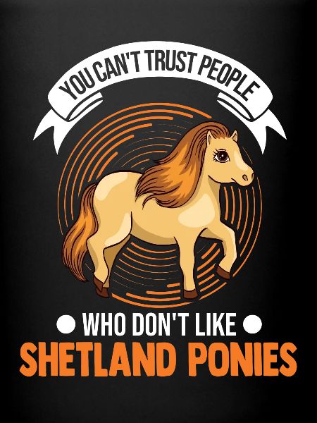 Shetland Pony Cadeau Shetty