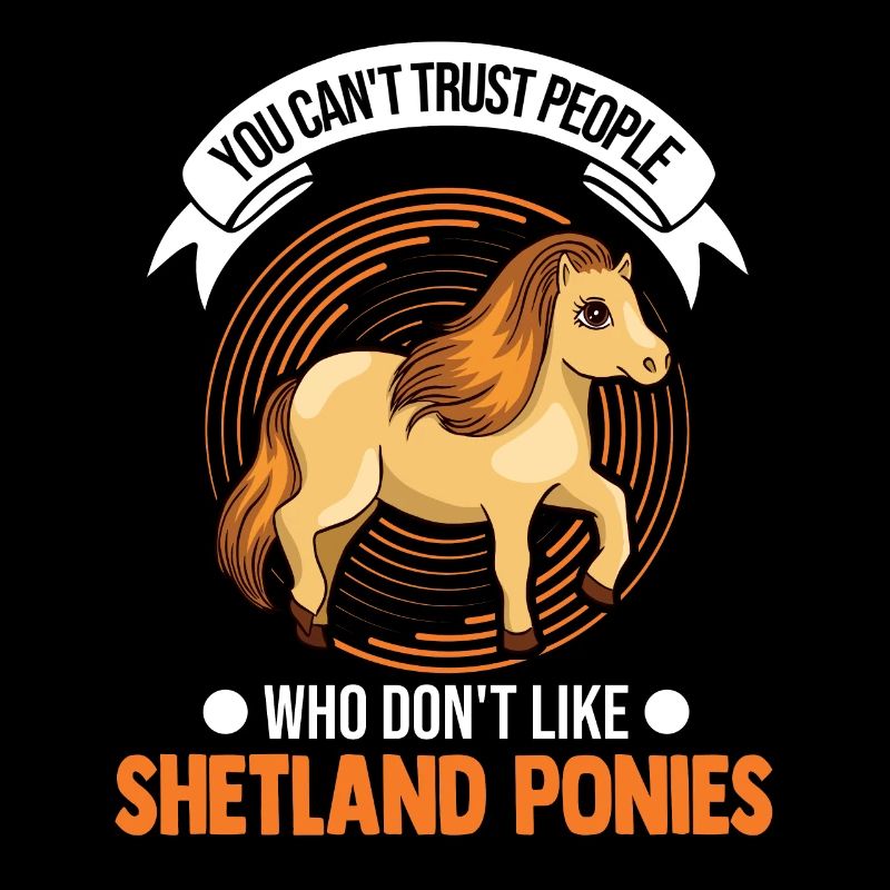 Shetland Pony Geschenk Shetty