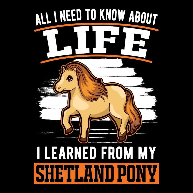 Shetland Pony Shetland Pony Shetty