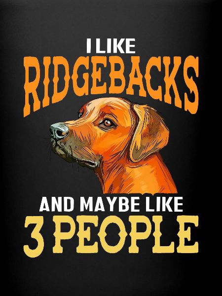 Chien Rhodesian Ridgeback