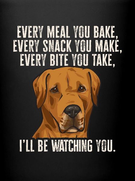 Rhodesian Ridgeback Hund