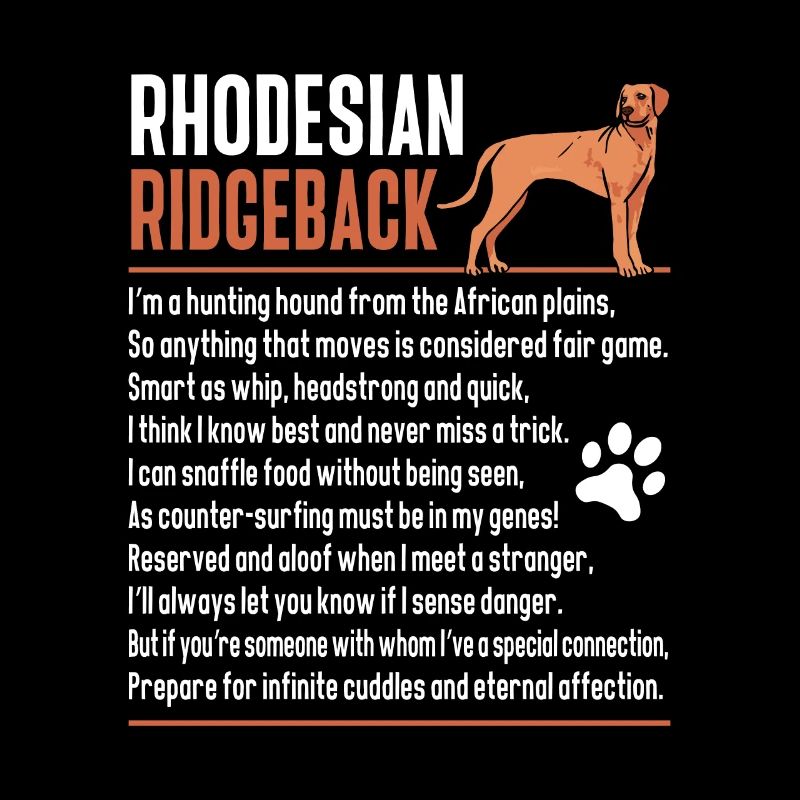 Rhodesian Ridgeback Dog