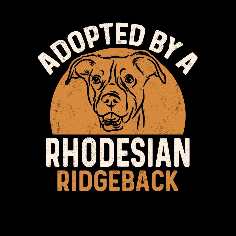Rhodesian Ridgeback Hund