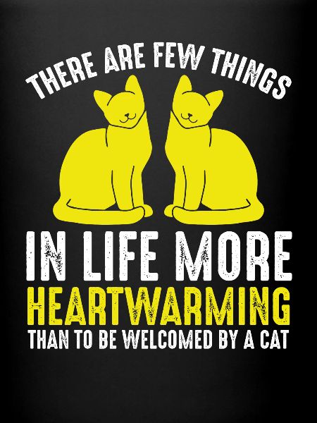 Deux chats mignons