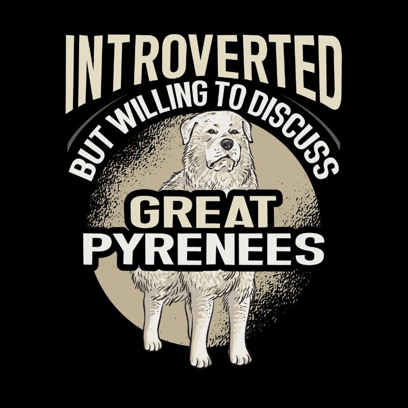 Introverted, but open to discussion Great Pyrene