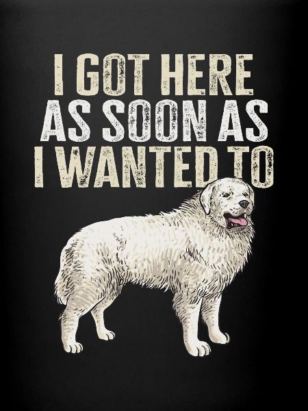 Large Pyrenean Dog