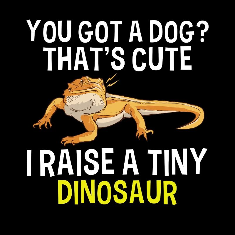 Bärtiger Drachenreptile Echsengärte Winziger