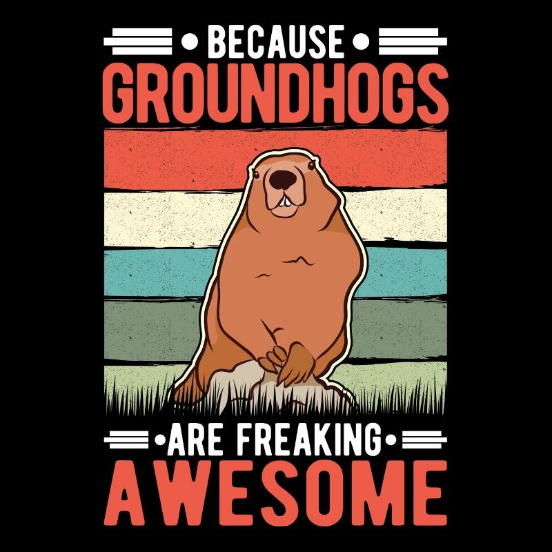 Murmeltier Marmot Waldmurmeltier