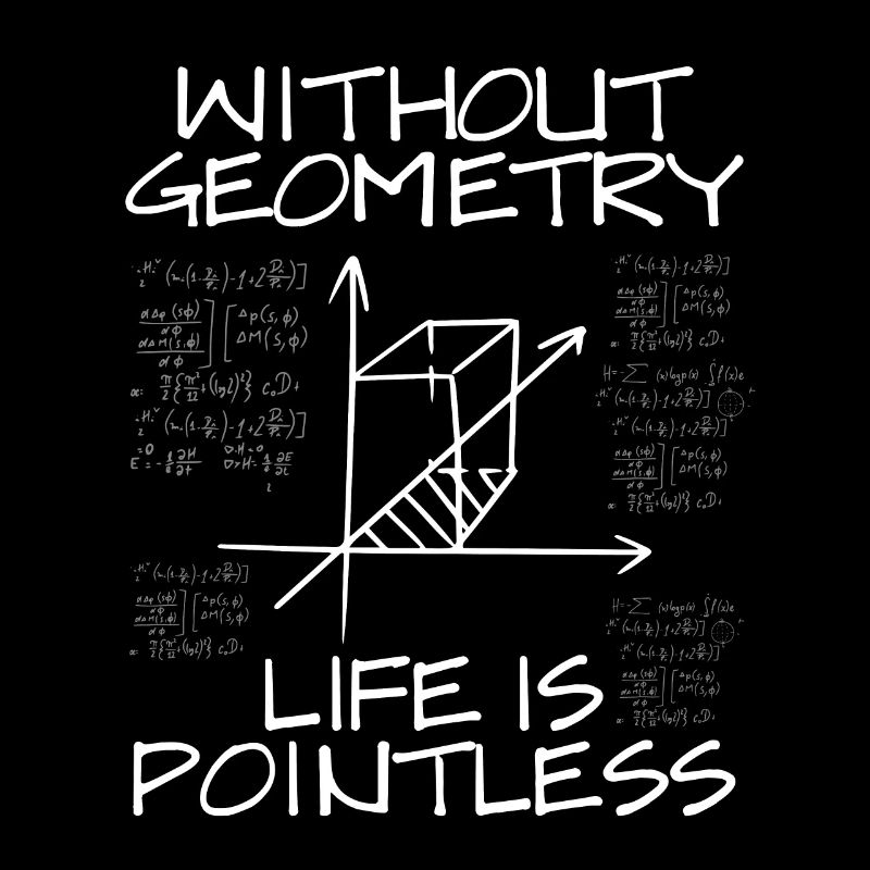 Without geometry, life is meaningless