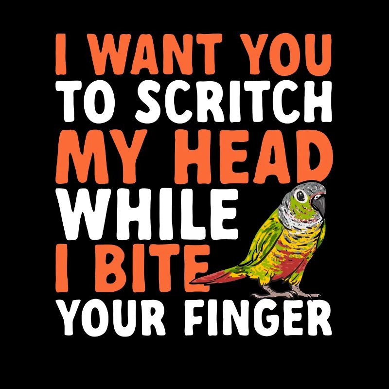 Molinasittich Parrot Bird Sun Parakeet