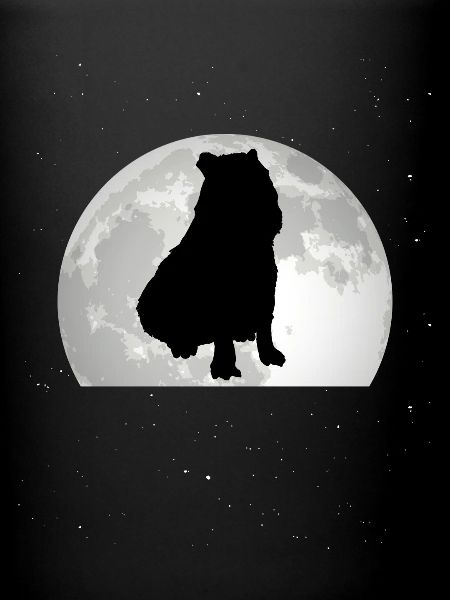 Capybara Lune Capybara