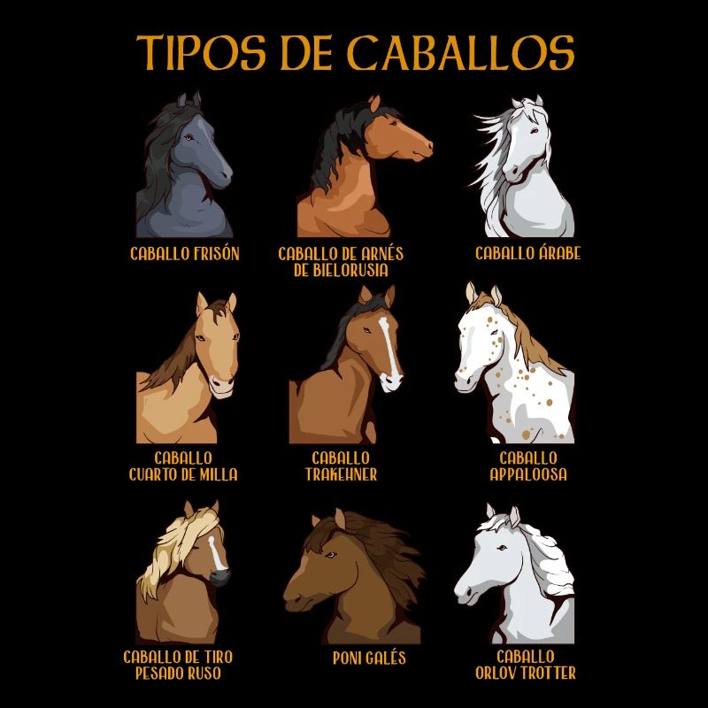 Types de chevaux Équitation espagnole