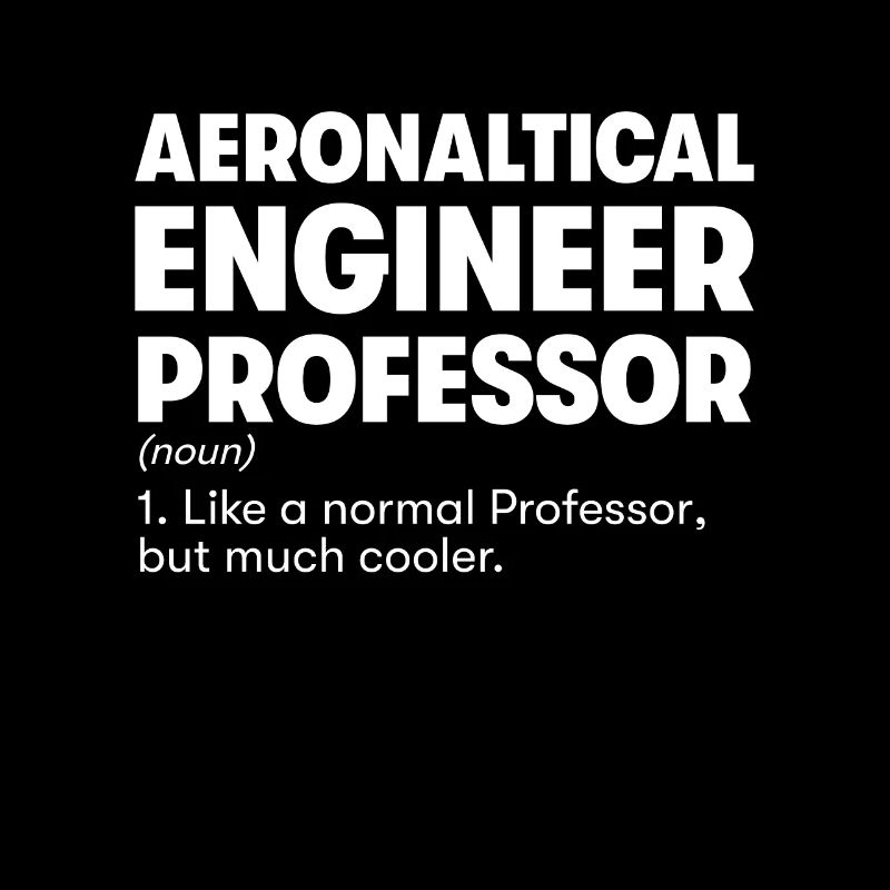 Aeronaltical Engineer Professor