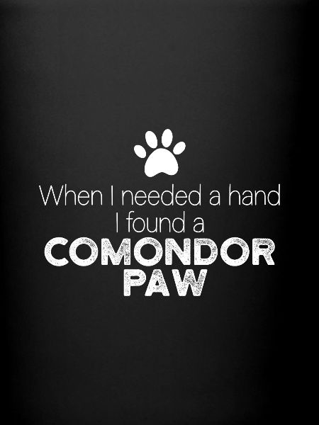 Main Komondor Paw