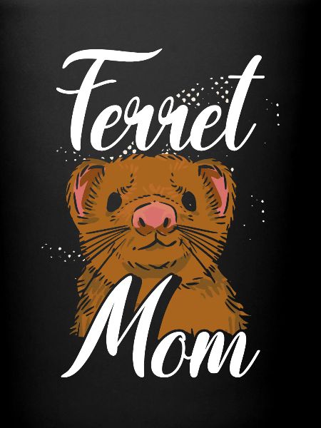 Douce mère furet