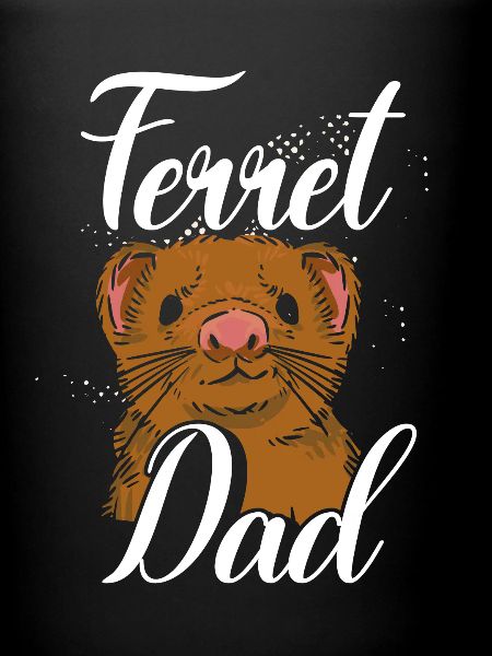 Beau père furet