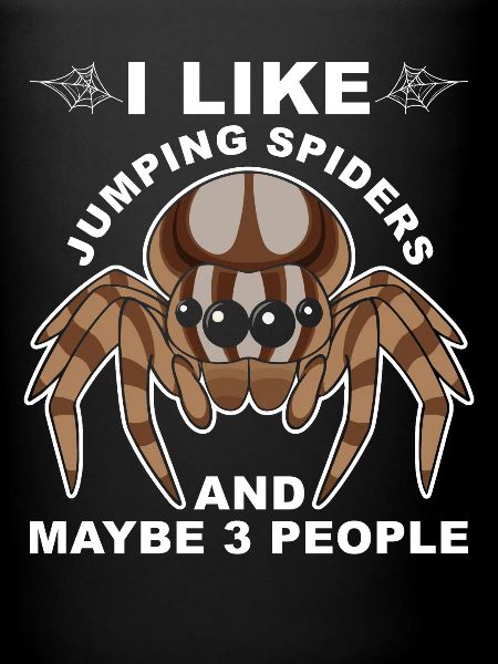 Dicton Jumping Spider