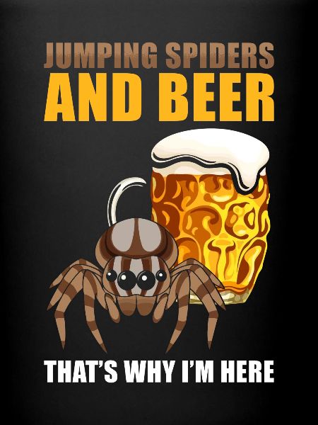 Dicton Jumping Spider
