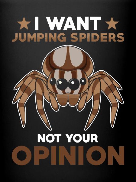 Dicton Jumping Spider