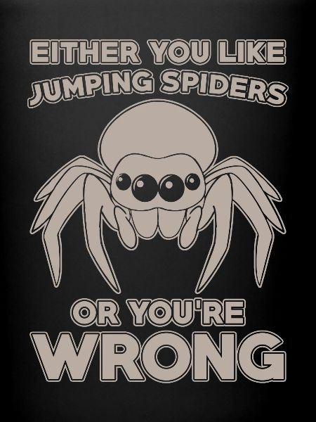 Dicton Jumping Spider