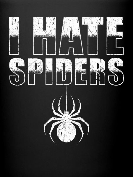 I hate spiders