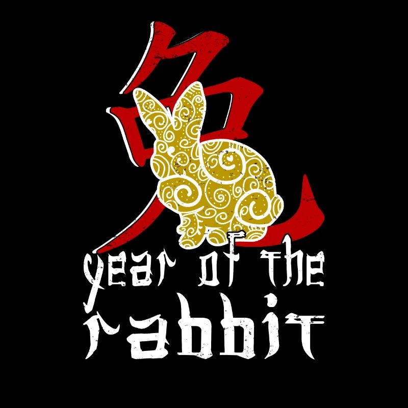 Chinese Rabbit Character New Year 2023