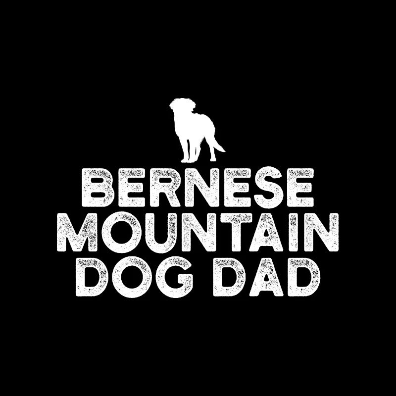 Berner Sennenhund Papa
