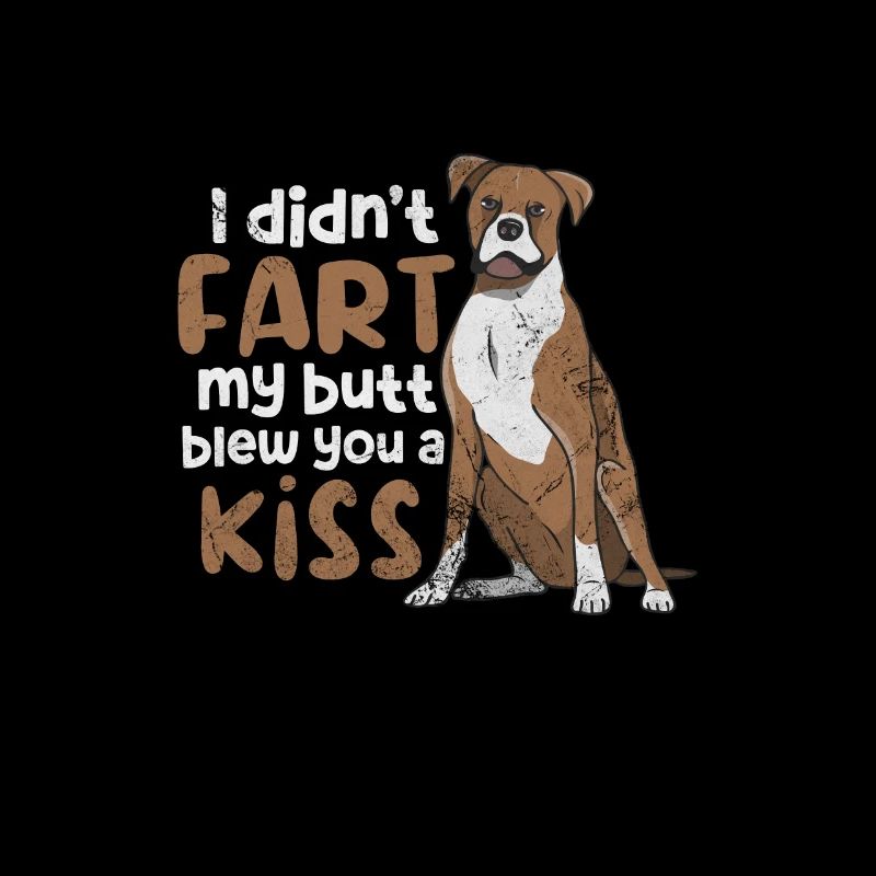 Boxer Dog