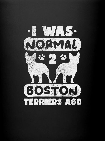 Boston Terrier