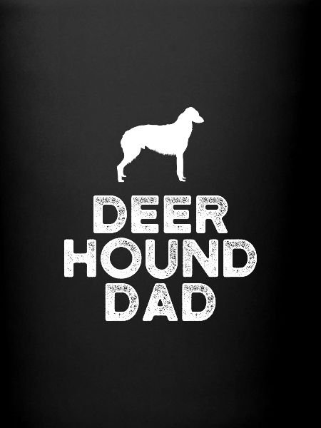 Deerhound Papa
