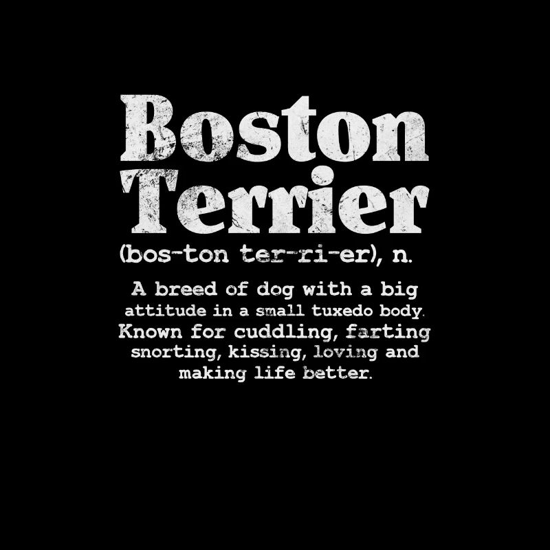 Boston Terrier